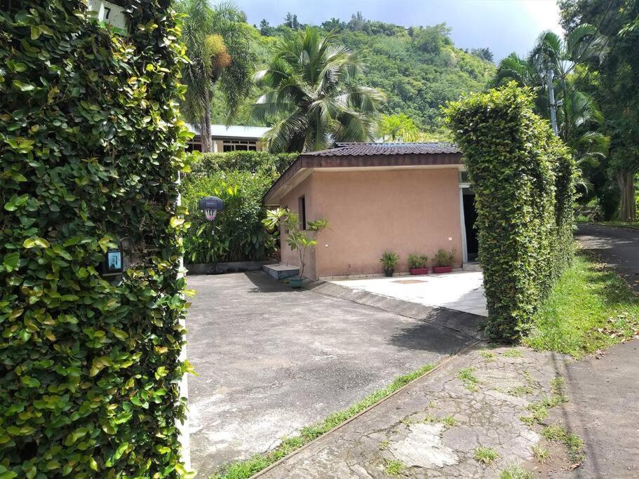 Vacation House In Tahiti Punaauia  Exteriér fotografie